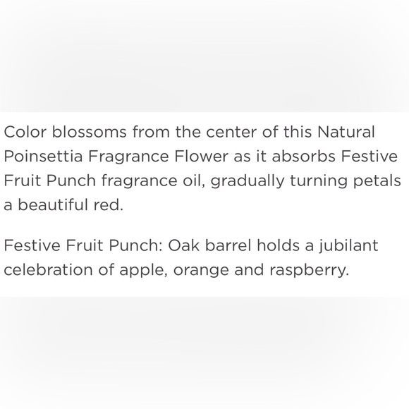 NEW Scentsy FESTIVE FRUIT PUNCH POINSETTIA Flower - Picture 4 of 4